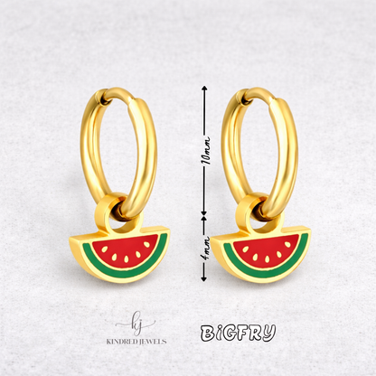 Solidarity Set | Watermelon Huggies + Stickers