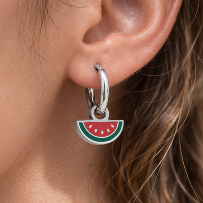 Solidarity Set | Watermelon Huggies + Stickers
